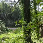 Villa Casa Dos Cogumelos - Retiro Exclusivo A Beira Mar