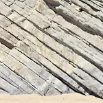 Casa Dos Cogumelos - Retiro Exclusivo A Beira Mar Murtinheira