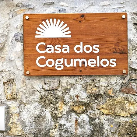 Casa Dos Cogumelos - Retiro Exclusivo A Beira Mar Villa Murtinheira
