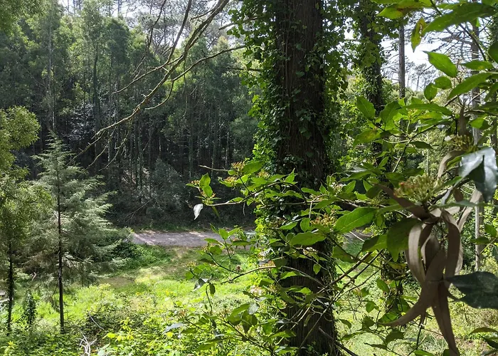 别墅 Casa Dos Cogumelos - Retiro Exclusivo A Beira Mar